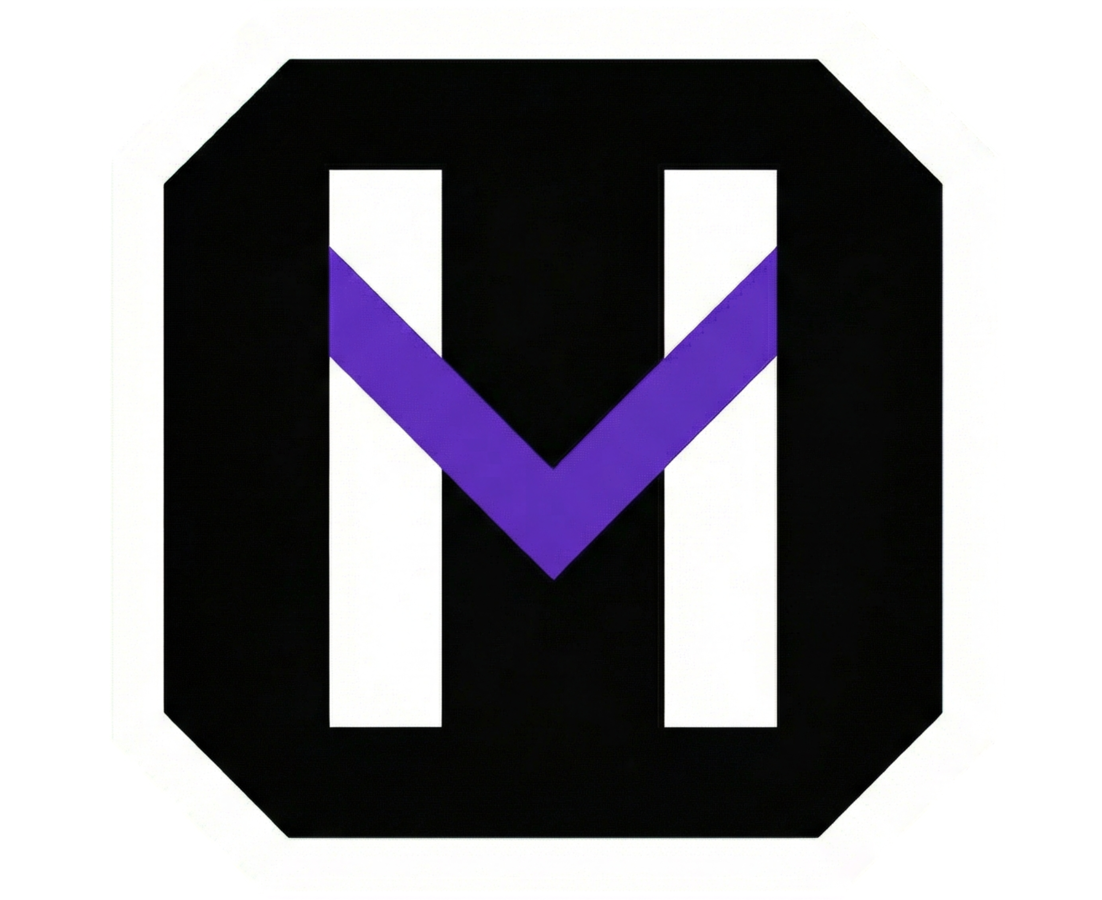 Hyperviz Studio Logo